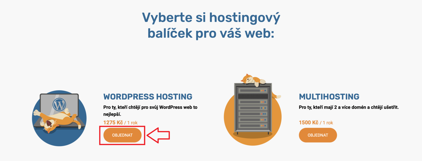 Jak si objednat webhosting i doménu - krok 2