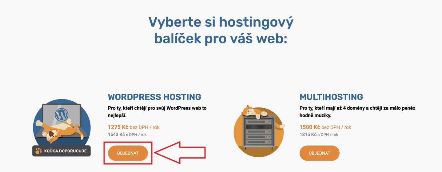 Jak si objednat webhosting i doménu - krok 2